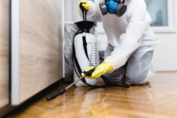 Best Residential Pest Control  in Sherman, TX