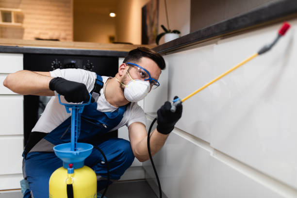 Best Rat Extermination Near Me  in Sherman, TX