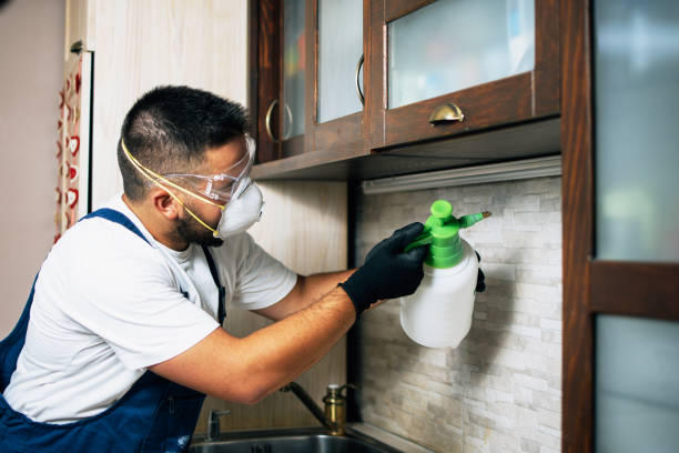 Best Bed Bug Extermination  in Sherman, TX