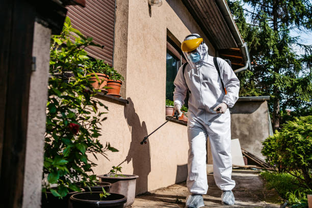 Best Flea Control Services  in Sherman, TX
