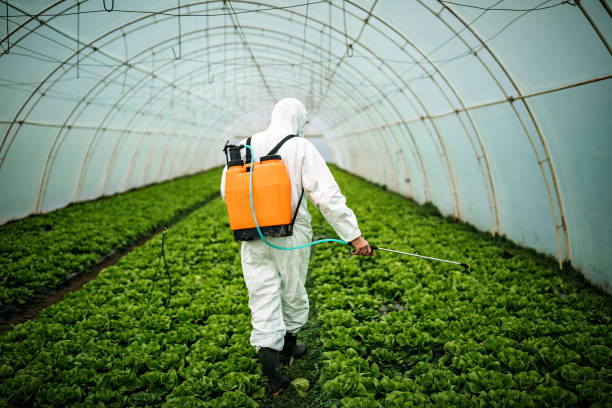 Best Pest Control for Businesses  in Sherman, TX