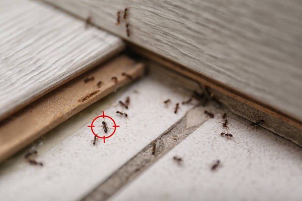 Pest Control for Restaurants in Sherman, TX