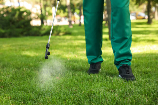 Best Insect Control  in Sherman, TX