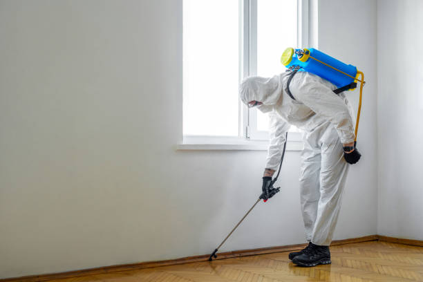 Best Local Pest Control Services  in Sherman, TX