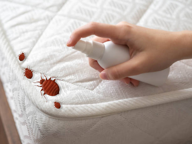 Best Commercial Pest Control Services  in Sherman, TX