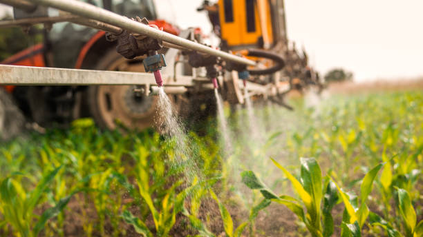 Best Ant Control Services  in Sherman, TX