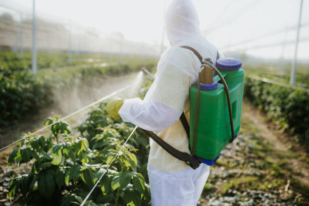 Best Local Pest Control Services  in Sherman, TX